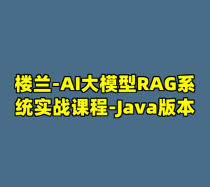 楼兰-AI大模型RAG系统实战课程-Java版本-cc资源站