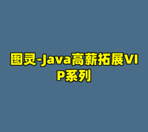 图灵-Java高薪拓展VIP系列-cc资源站