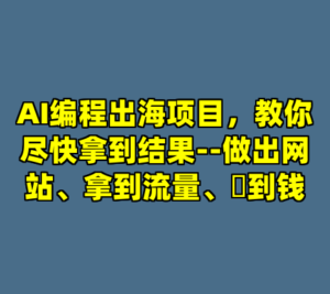 AI编程出海项目，教你尽快拿到结果--做出网站、拿到流量、賺到钱-cc资源站