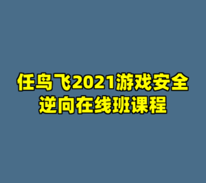 任鸟飞2021游戏安全逆向在线班课程-cc资源站