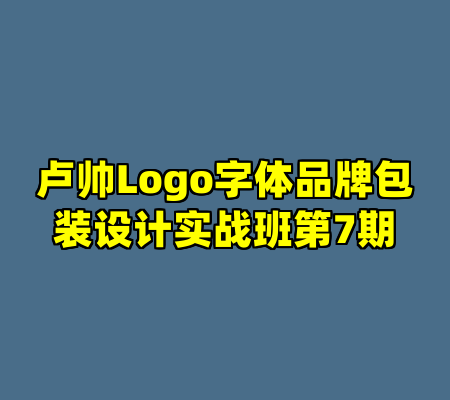 卢帅Logo字体品牌包装设计实战班第7期