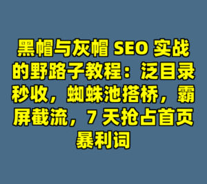 黑帽与灰帽 SEO 实战的野路子教程：泛目录秒收，蜘蛛池搭桥，霸屏截流，7 天抢占首页暴利词-cc资源站