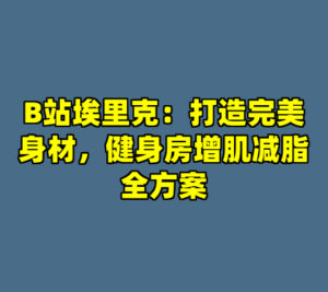 B站埃里克：打造完美身材，健身房增肌减脂全方案-cc资源站