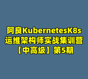 阿良KubernetesK8s运维架构师实战集训营【中高级】第5期-cc资源站