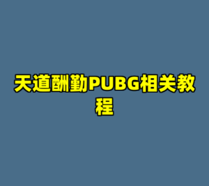 天道酬勤PUBG相关教程-cc资源站