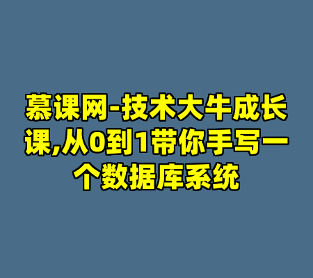 慕课网-技术大牛成长课,从0到1带你手写一个数据库系统