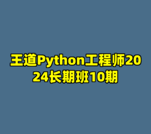 王道Python工程师2024长期班10期-cc资源站