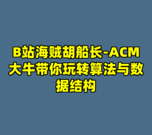 B站海贼胡船长-ACM大牛带你玩转算法与数据结构-cc资源站