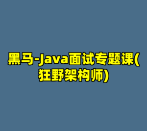 黑马-Java面试专题课(狂野架构师)-cc资源站
