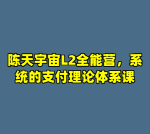 陈天宇宙L2全能营，系统的支付理论体系课-cc资源站