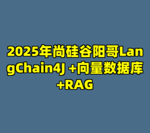 2025年尚硅谷阳哥LangChain4J +向量数据库+RAG-cc资源站