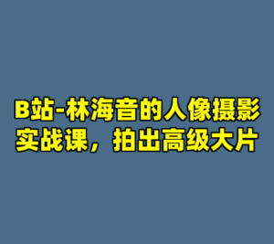 B站-林海音的人像摄影实战课，拍出高级大片-cc资源站