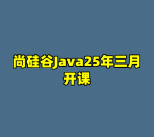 尚硅谷Java25年三月开课-cc资源站