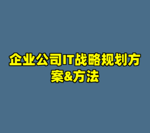 企业公司IT战略规划方案&方法-cc资源站