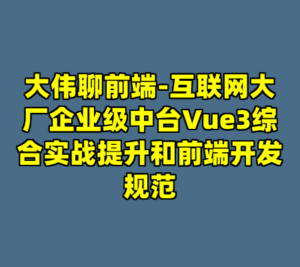 大伟聊前端-互联网大厂企业级中台Vue3综合实战提升和前端开发规范-cc资源站