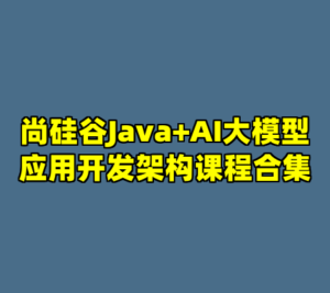 尚硅谷Java+AI大模型应用开发架构课程合集-cc资源站