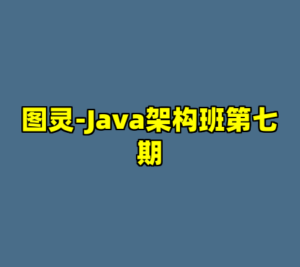 图灵-Java架构班第七期-cc资源站