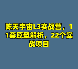 陈天宇宙L3实战营，11套原型解析，22个实战项目-cc资源站